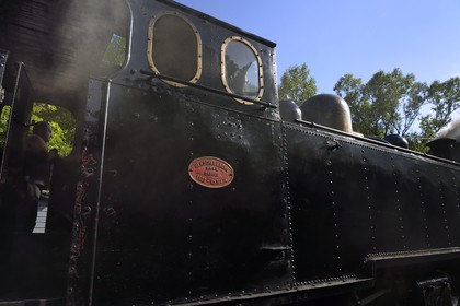 France, Alpes-Maritimes (06), Puget Théniers, locomotive en chauffe, Luc Cabouret bénévole du G.E.C.P. qui restaure et exploite le Train des Pignes, aujourd'hui aide chauffeur