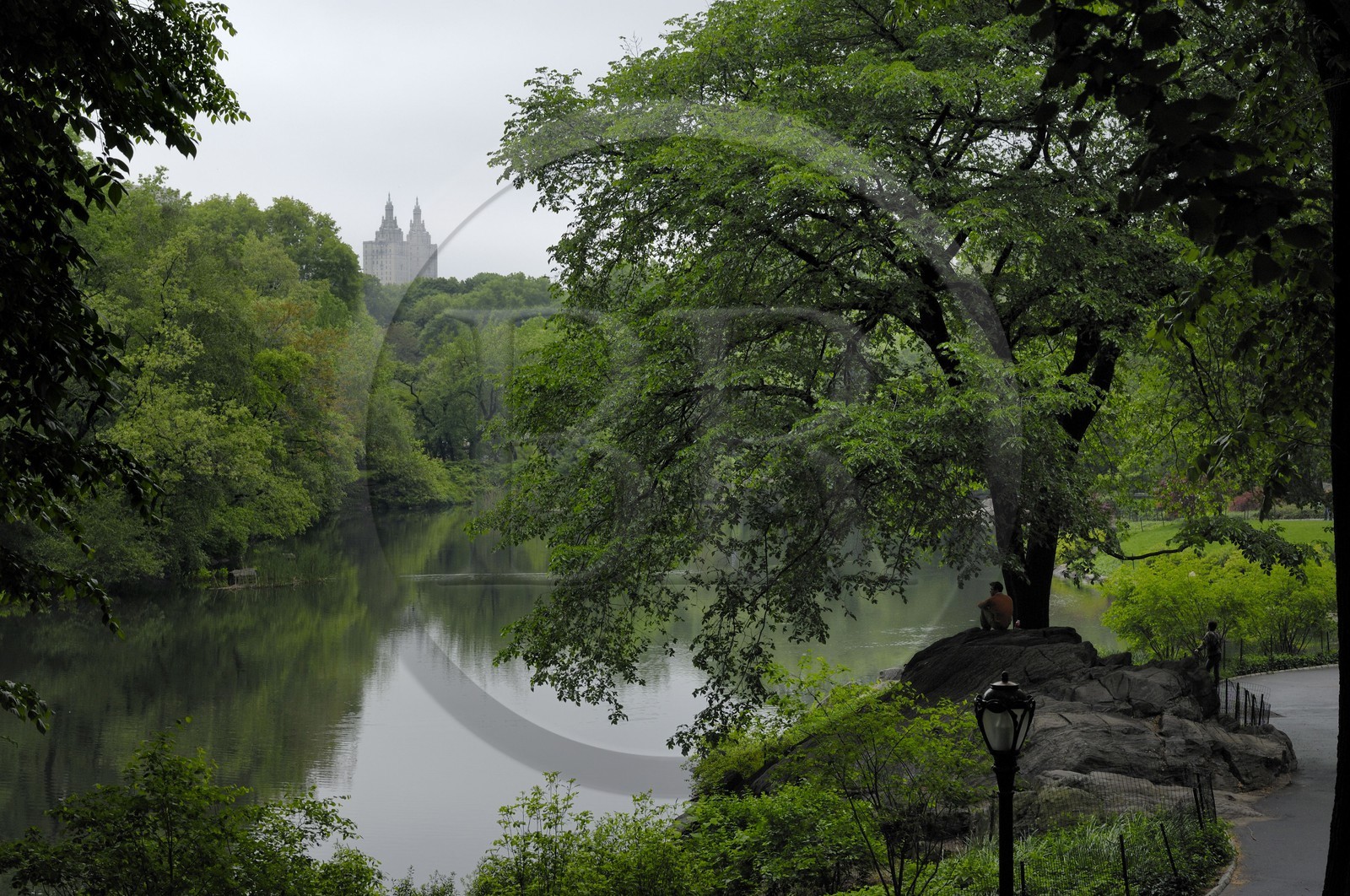 Etats-Unis, New York, Manhattan,  Central Park un jour de pluie