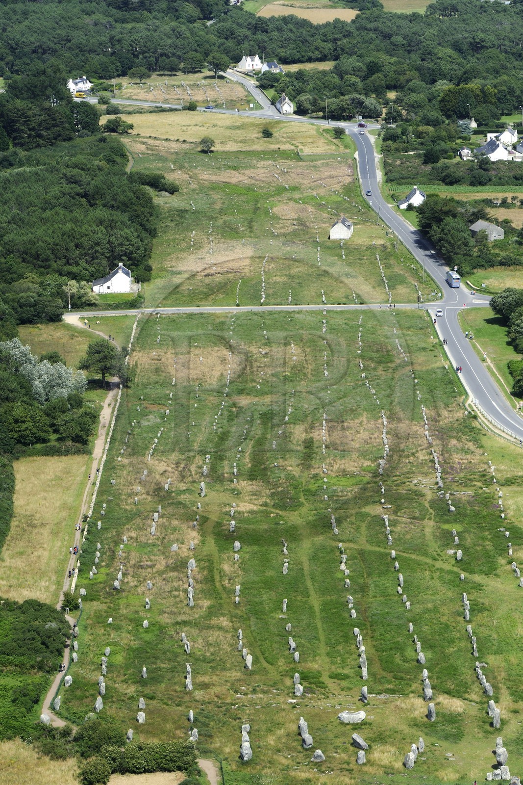 France, Morbihan, Carnac, row of megalithic standing stones at Menec (aerial view)