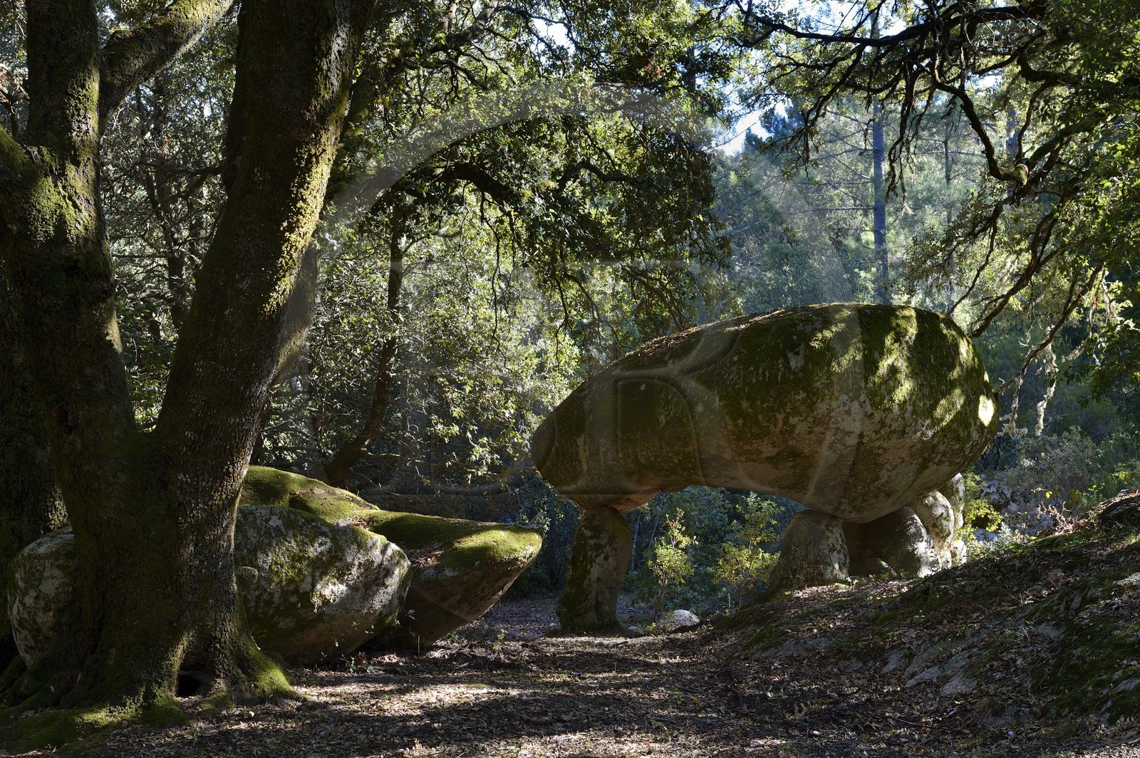 France, Corse-du-Sud (2A), Alta Rocca, chaos de Paccionitoli au sud de Zonza, dolmen
