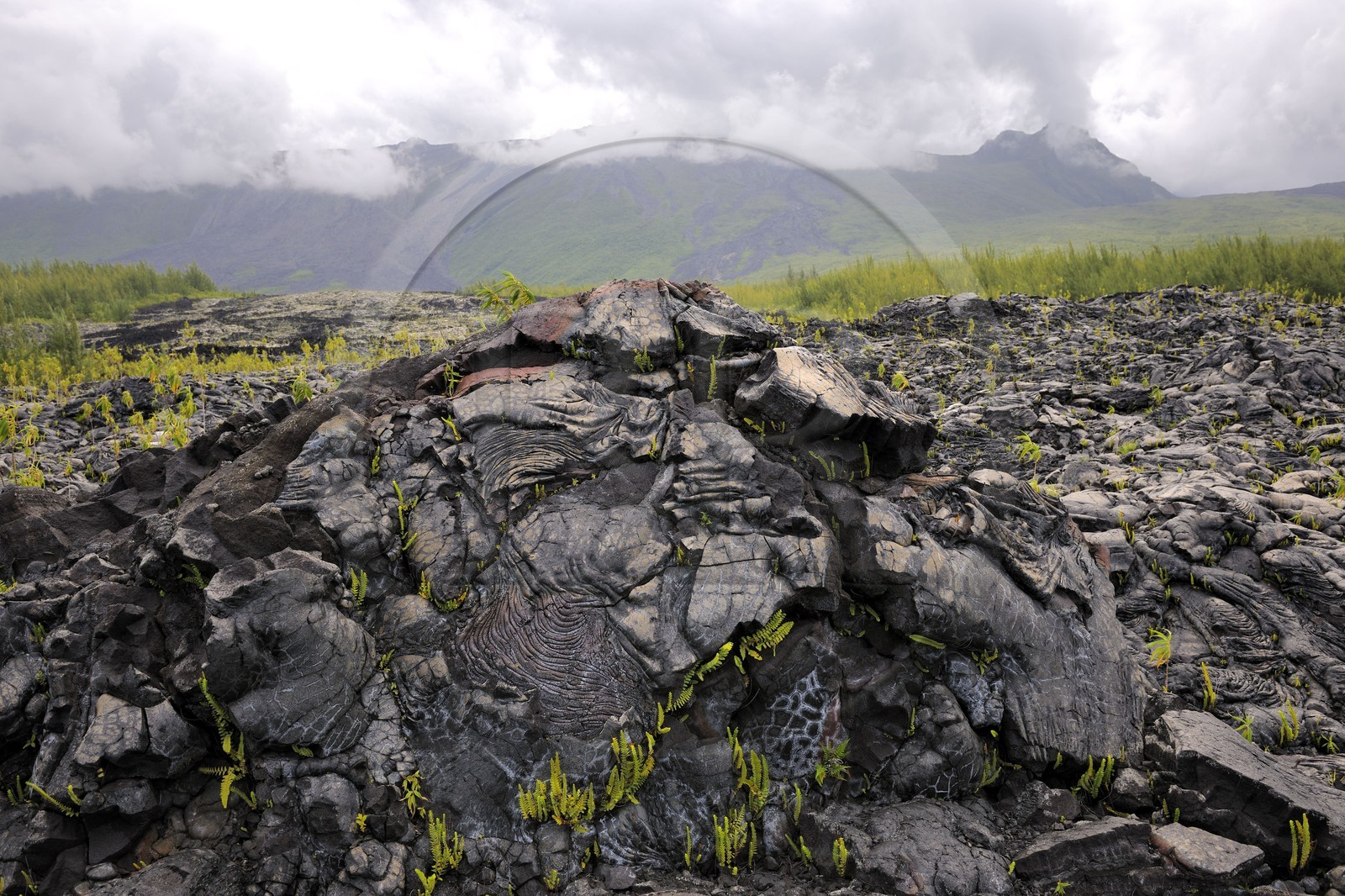 France, île de la Réunion, volcan du Piton de la Fournaise, classé Patrimoine Mondial de l'UNESCO, le Grand-Brûlé, coulée de lave de 2007