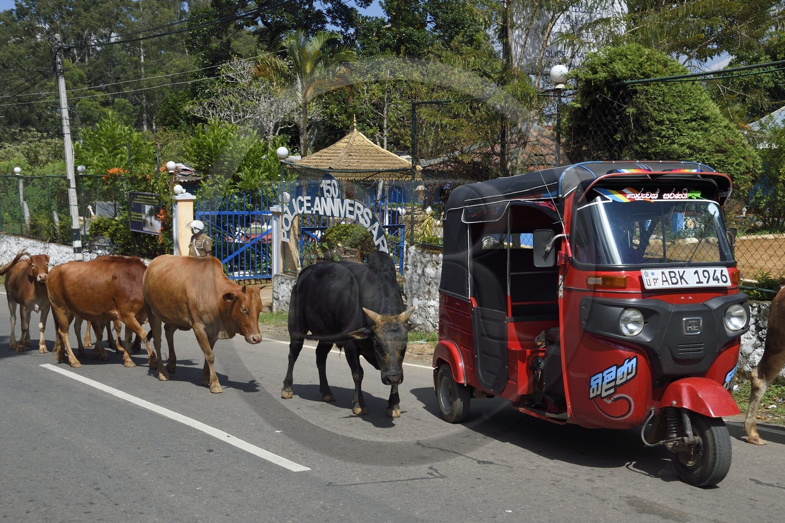 Sri Lanka, Province d'Uva, Diyathalawa, tricycle moto-taxi