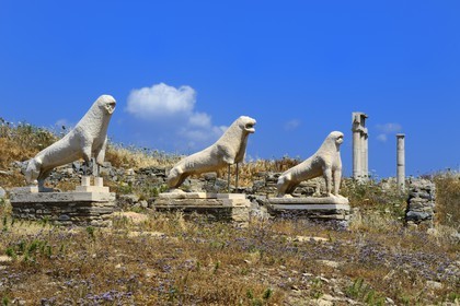Grèce, île de Delos, classée Patrimoine Mondial de l'UNESCO, site archéologique de Délos, sanctuaire d'Apollon, la plus grande cité antique de la mer Egée, la Terrasse des Lions