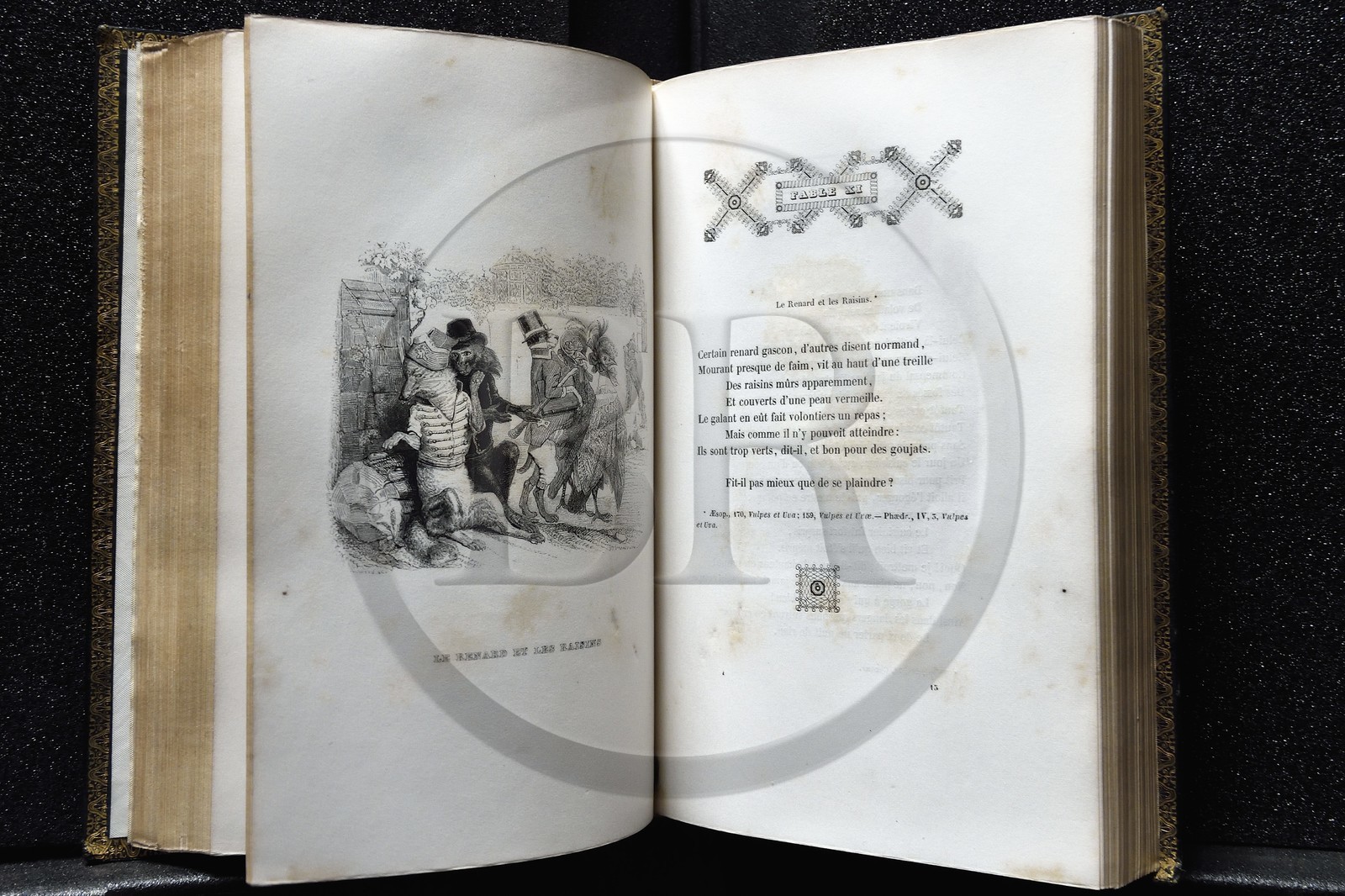 France, Aisne (02), Château-Thierry, Musée Jean de La Fontaine - Ville de Chateau-Thierry, livre des Fables de La Fontaine, édition illustrée (Fournier Aîné 1839 - 1e édition en 1838) par le caricaturiste Jean Jacques Grandville, le Renard et les Raisins fable XI du livre III