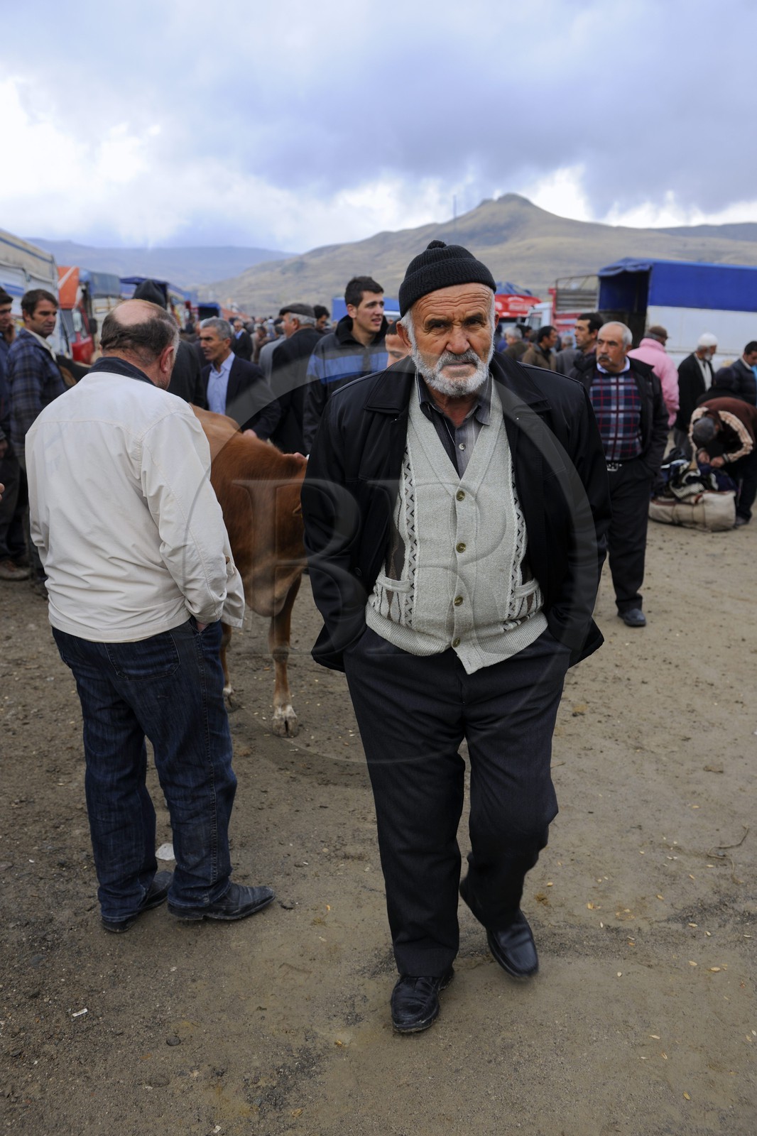 Turkey, Central Anatolia, Nevsehir Province, Cappadocia listed as World Heritage by UNESCO, cattle market of Urgup