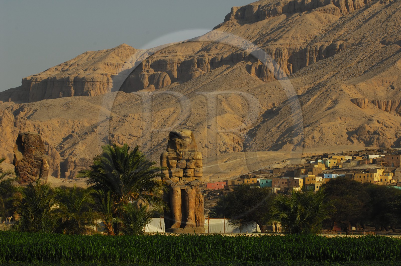 Egypte, Haute Egypte, vallée du Nil, environs de Louxor, nécropole thébaine classée Patrimoine Mondial de l'UNESCO, Thèbes Ouest, les colosses de Memnon