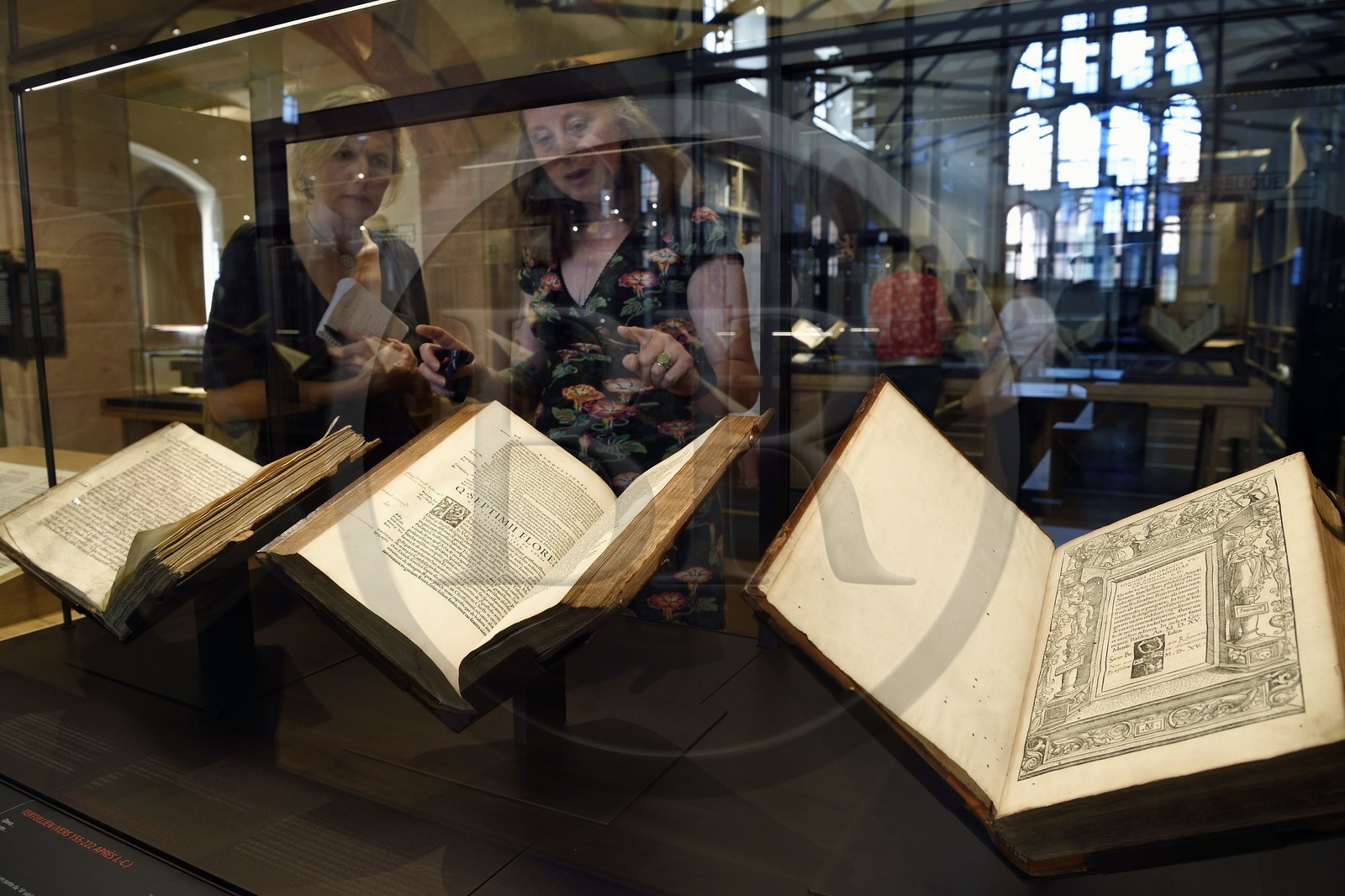 France, Bas Rhin, Selestat, the Humanist Library refitted by architect Rudy Ricciotti, coming at the beginning from the personal library of Beatus Rhenanus (1485-1547)