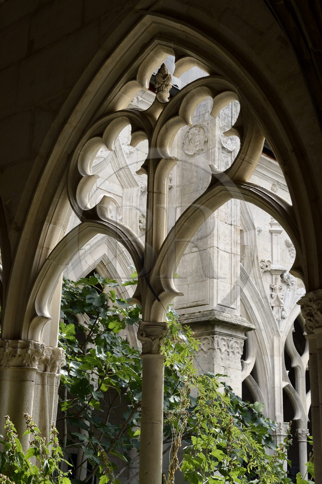 France, Meurthe-et-Moselle (54), Toul, cloitre de la collégiale Saint-Gengoult
