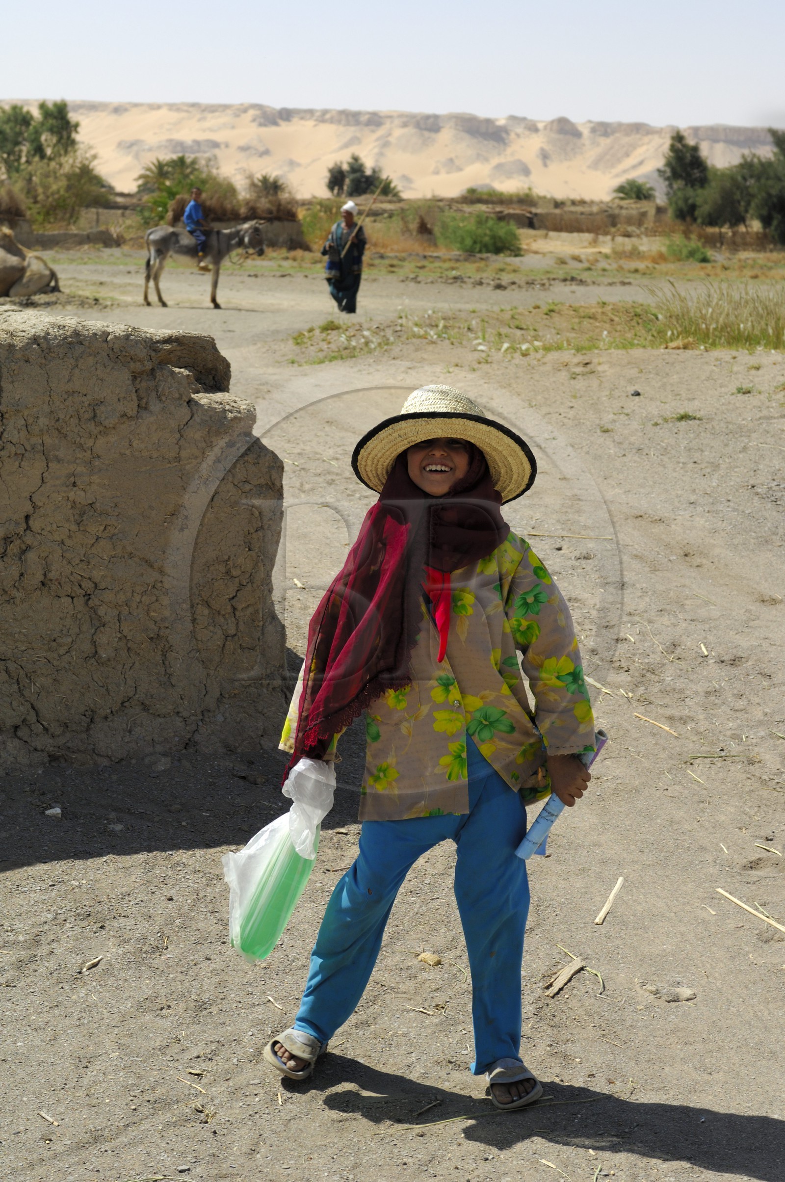 Egypte, désert libyque, oasis de Abu Mungar au nord de Farafra