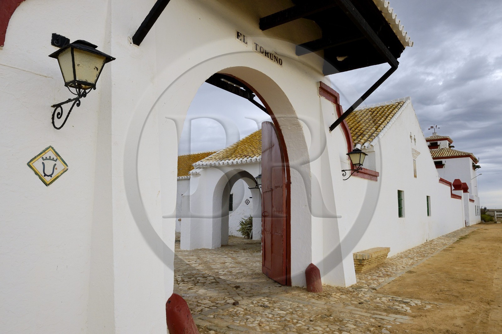 Espagne, Andalousie, province de Séville, Utrera, domaine El Toruno, élevage de taureaux de combat