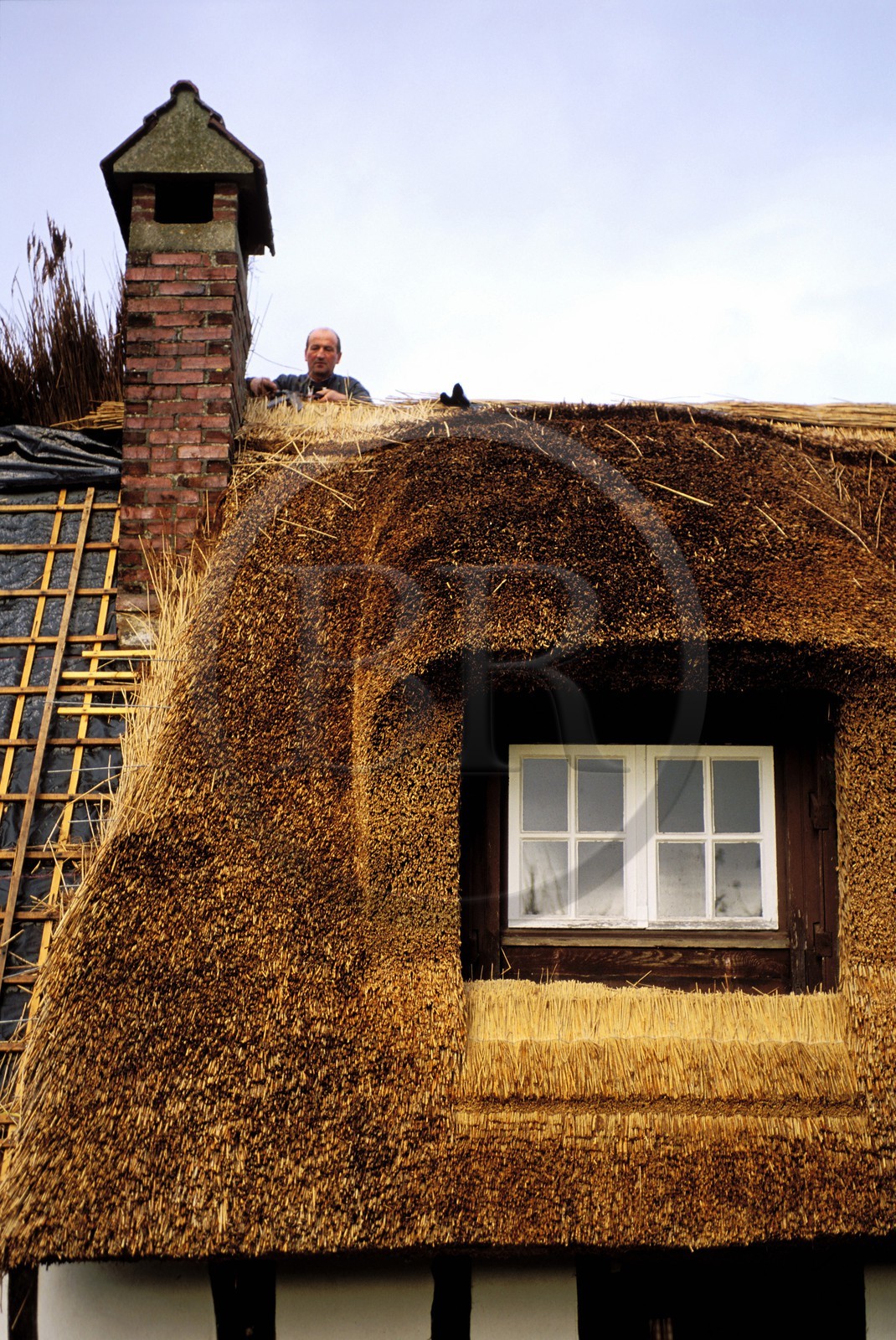 France, Eure, Pont Audemer, thatcher Jacques Baudoin working the traditional way on a roof