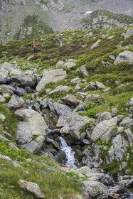 France, Alpes-Maritimes, Parc National du Mercantour (Mercantour national park), Haute Vesubie, Saint Martin Vesubie, Val du Haut Boréon, hikers crossing a river on the path going to the Pas des Ladres pass
