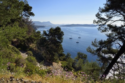 France, Var (83), La Seyne-sur-Mer, randonnée dans le massif du Cap Sicié le long du chemin du Joncquet en contrebas de la Corniche Merveilleuse, la presqu'Ile de Saint-Mandrier en arrière plan