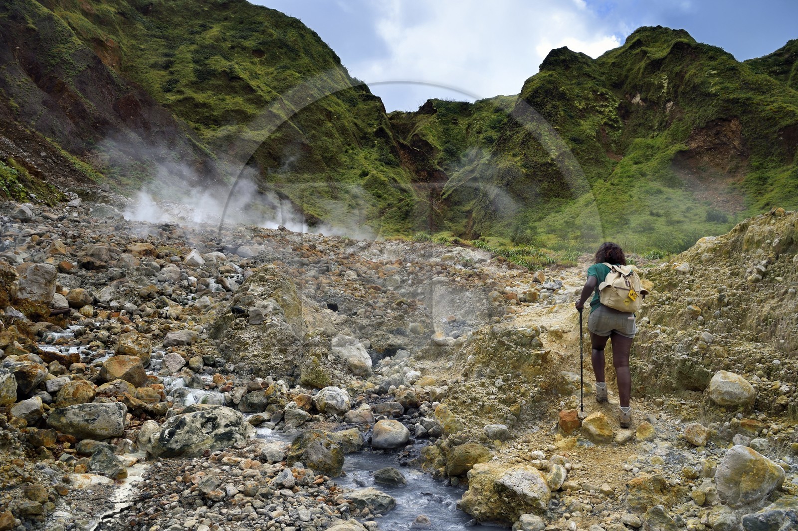 Caraïbes, Ile de la Dominique, Castle Bruce, Parc national du Morne Trois Pitons classé Patrimoine Mondial de l'UNESCO, la Vallée de la Désolation, randonnée sur le sentier menant au Boiling Lake
