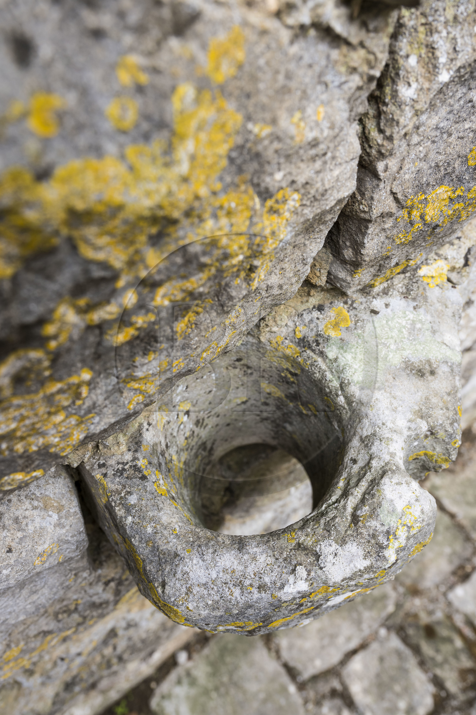 France, Aveyron (12), parc naturel régional des Grands Causses, le fort cistercien de Saint-Jean-d’Alcas, anneau d'attache médiéval pour chevaux taillé dans la pierre