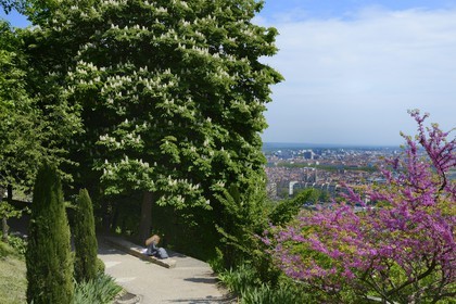 France, Rhône (69), Lyon, site historique classé Patrimoine Mondial de l'UNESCO, le jardin du Rosaire en contrebas de la Basilique Notre Dame de Fourvière