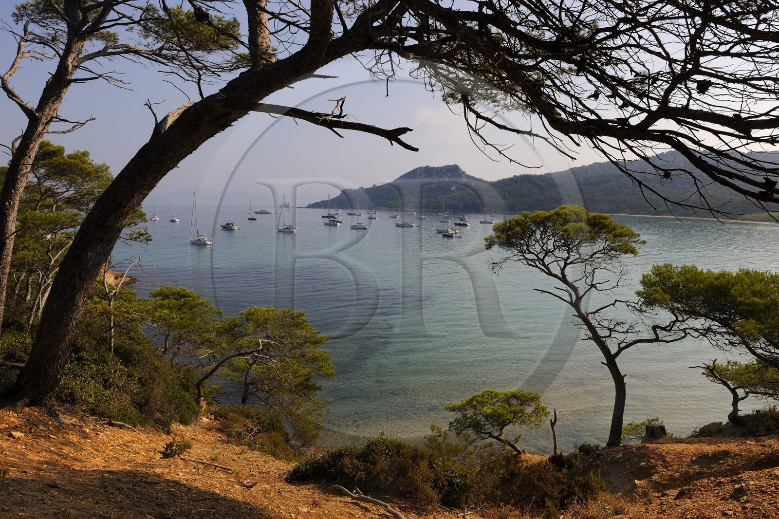 France, Var, Iles d'Hyeres, National Park of Port Cros, ile de Porquerolles, Plage Notre Dame