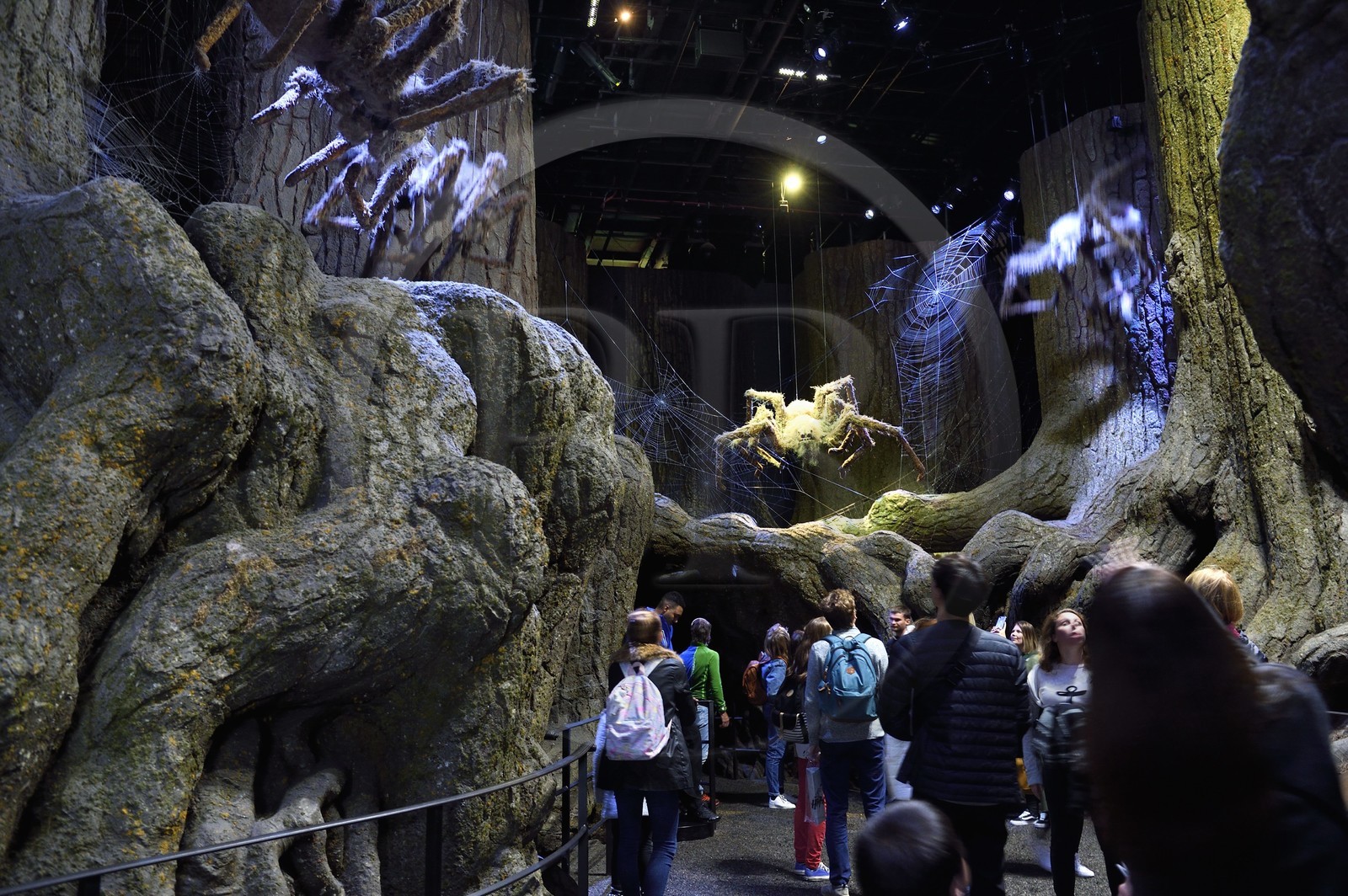 United Kingdom, Hertfordshire, Leavesden, Leavesden Film Studios, Harry Potter Studio Tour London, the scene of the eight Harry Potter movies' making of, the giant Aragog spiders in the mythical Forbidden Forest