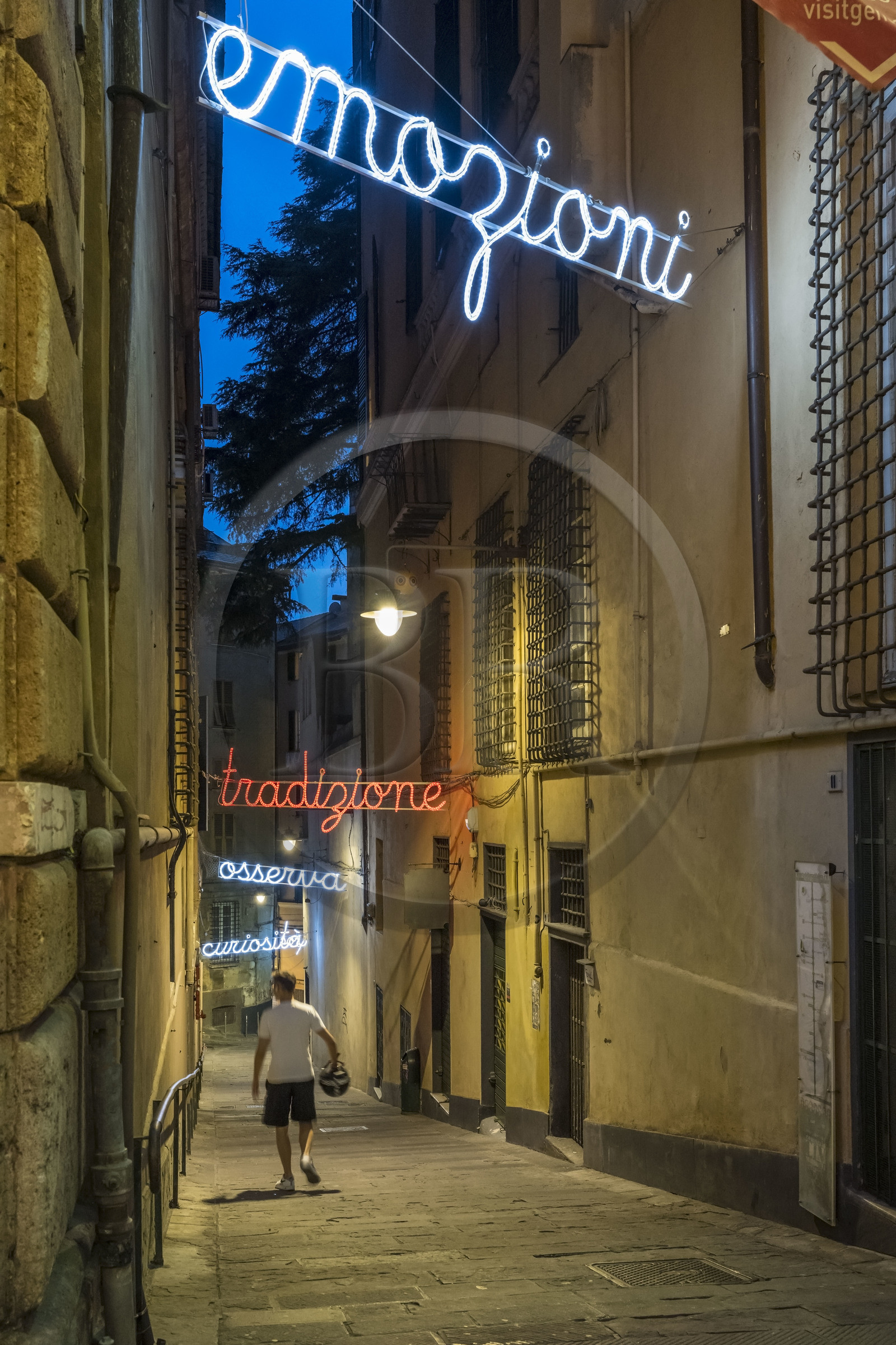 Italie, Ligurie, Gênes, ruelle du vieux centre historique derrière la via Garibaldi, street art