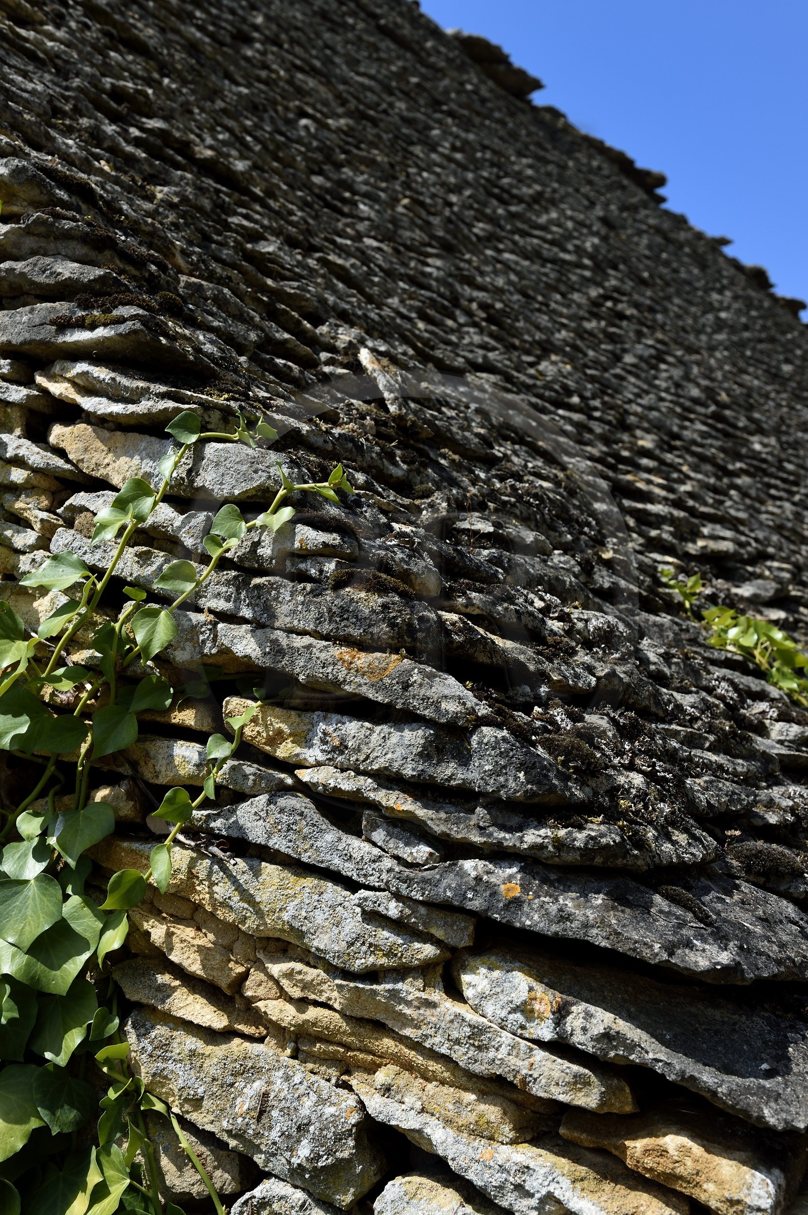 France, Dordogne (24), Périgord Noir, Saint-Geniès, toiture en lauze