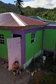 Caraïbes, Ile de la Dominique, Salybia, Territoire Kalinago unique réserve amérindienne de l'archipel des Antilles, un amérindien metissé rapant de la noix de coco devant sa maison