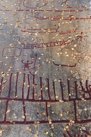 Suède, comté de Bohuslän, Tanum Vitlycke, site classé Patrimoine Mondial de l'UNESCO, gravures rupestres