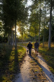 France, Ille et Vilaine, the green way of Mont Saint Michel, Yannick Frain, farmer and breeder of salt marshes sheep