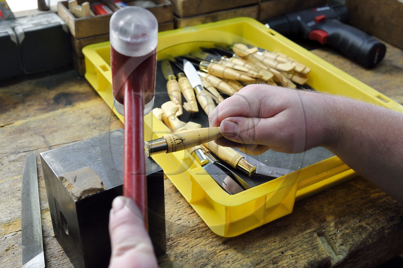 France, Dordogne, Périgord Vert, Nontron, handcrafted knives in the Coutellerie Nontronaise Factory