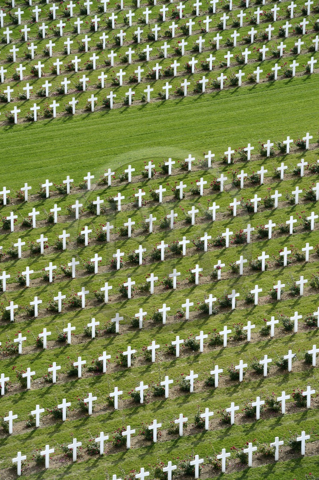 France, Meuse (55), Douaumont, bataille de Verdun, ossuaire de Douaumont, nécropole nationale, alignement de tombes de soldats