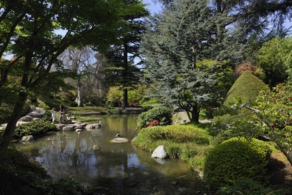 France, Hauts-de-Seine (92), Boulogne-Billancourt, le jardin japonais du musée départemental Albert-Kahn