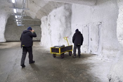 Norway, Svalbard, Spitzbergen, Longyearbyen, Svalbard Global Seed Vault (Seed Bank), antechamber of the 3 storage areas dug in the rock and at a constant temperature of -4°C provided by the permafrost, access door at the storage room artificially maintained at -18°C