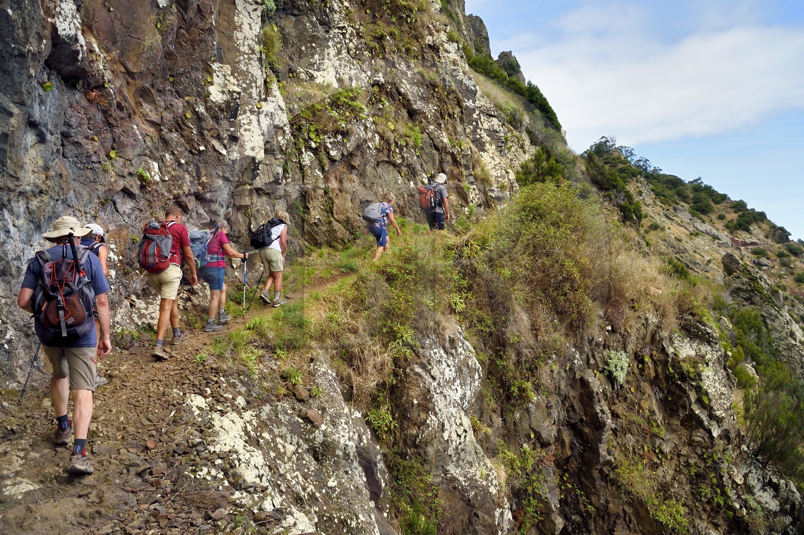 Portugal, Madeira Island, hike from Machico to Porto da Cruz by the Vereda do Larano, hikers on the path carved into the side of the wall of the cliff of Larano