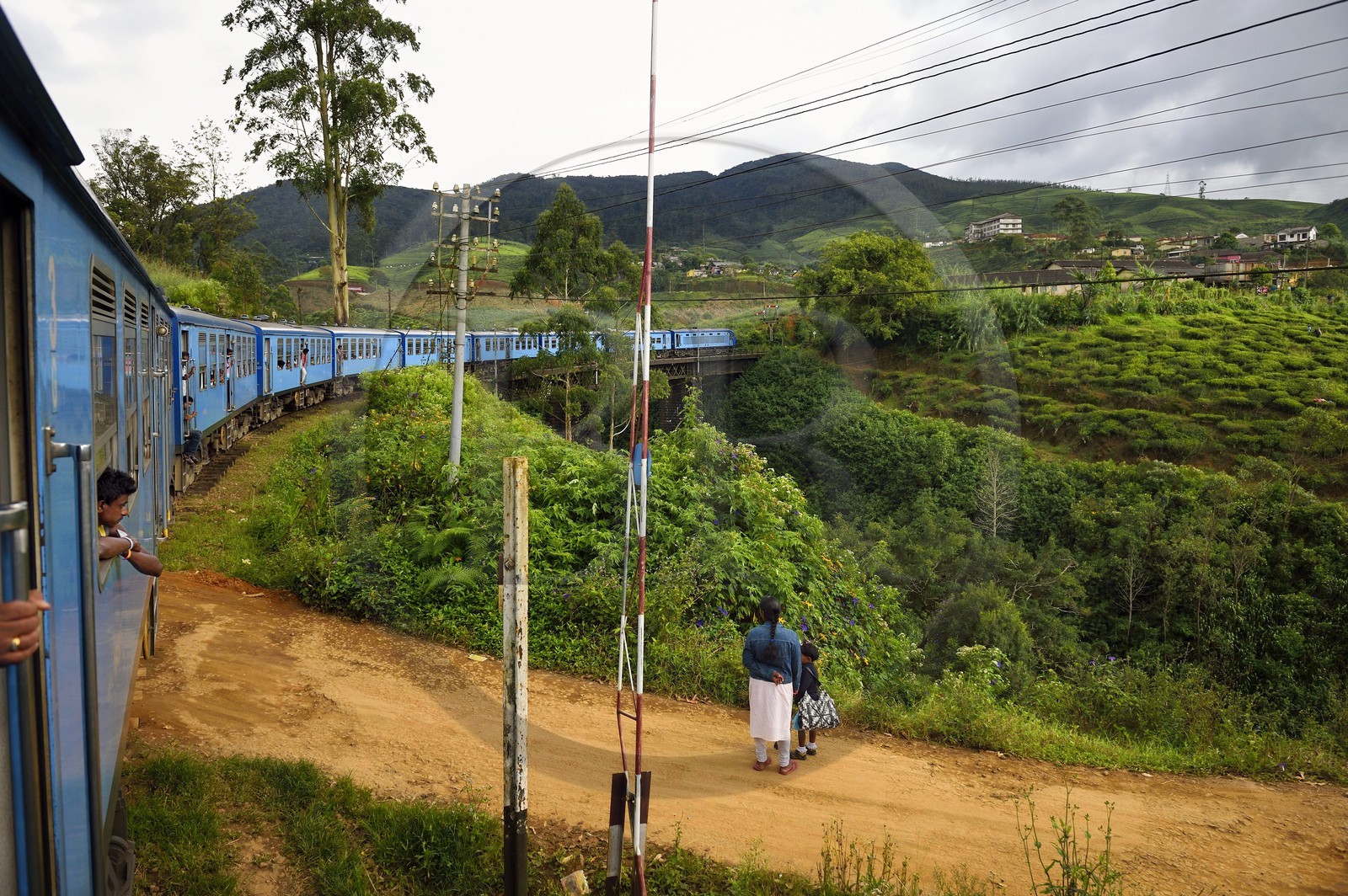 Sri Lanka, Province du Centre, trajet en train dans la région montagneuse de la culture du thé entre Hatton et Badulla, ici aux abords de Nanuoya