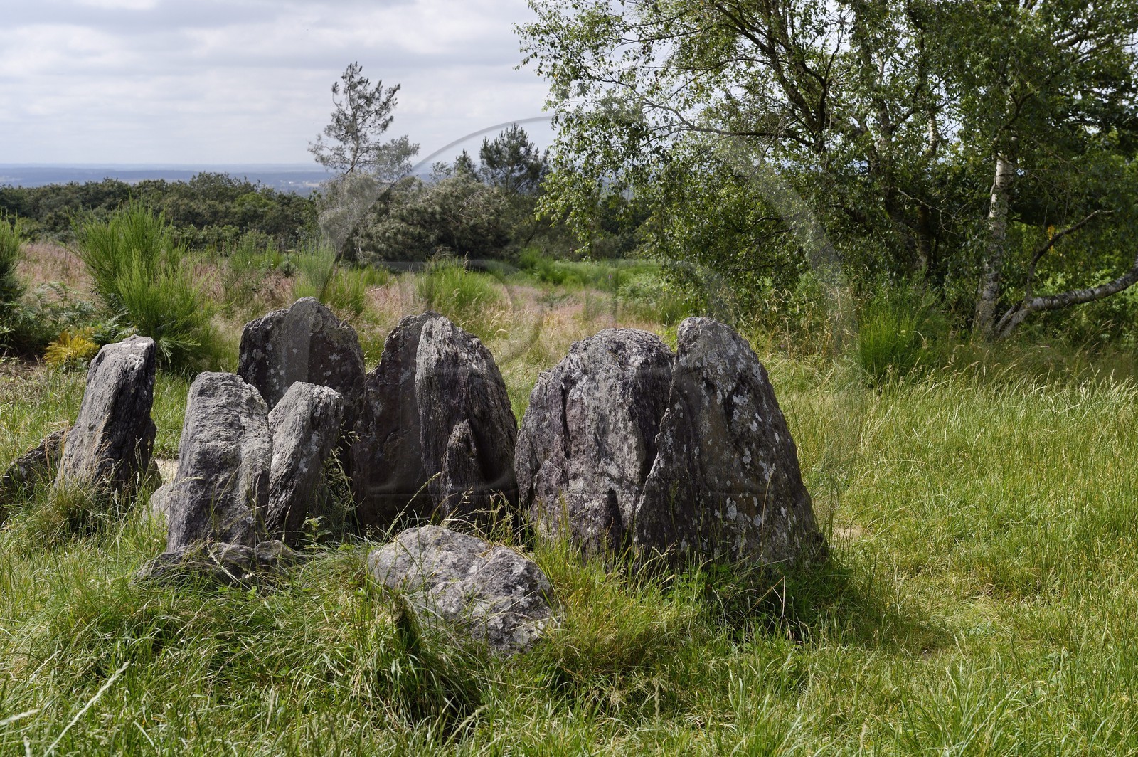 France, Morbihan (56), forêt de Brocéliande, l'Hôtié de Viviane aussi appelé le Tombeau des druides, monument mégalithique d'environ 2500 av J.C.