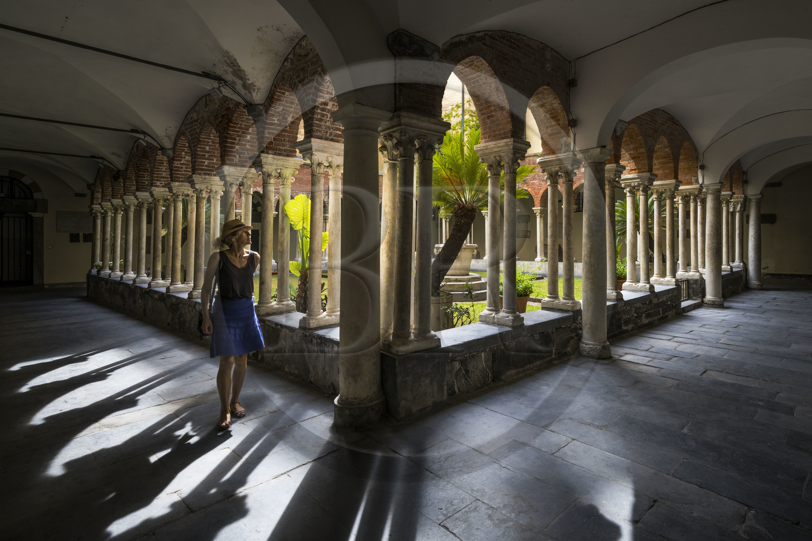 Italy, Liguria, Genoa, the historic center, Chiesa di San Matteo (church of San Matteo), the cloister