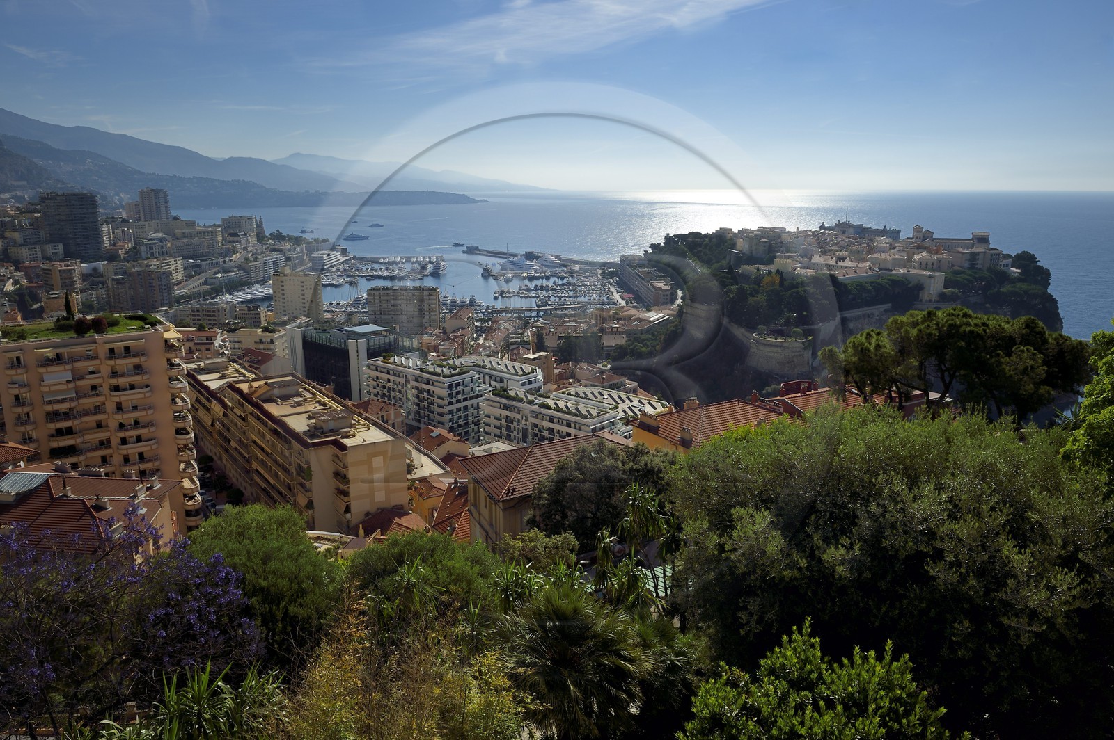 Principauté de Monaco, Monaco, le Jardin Exotique regroupant plusieurs milliers d'espèces de plantes succulentes, le Rocher en arrière plan