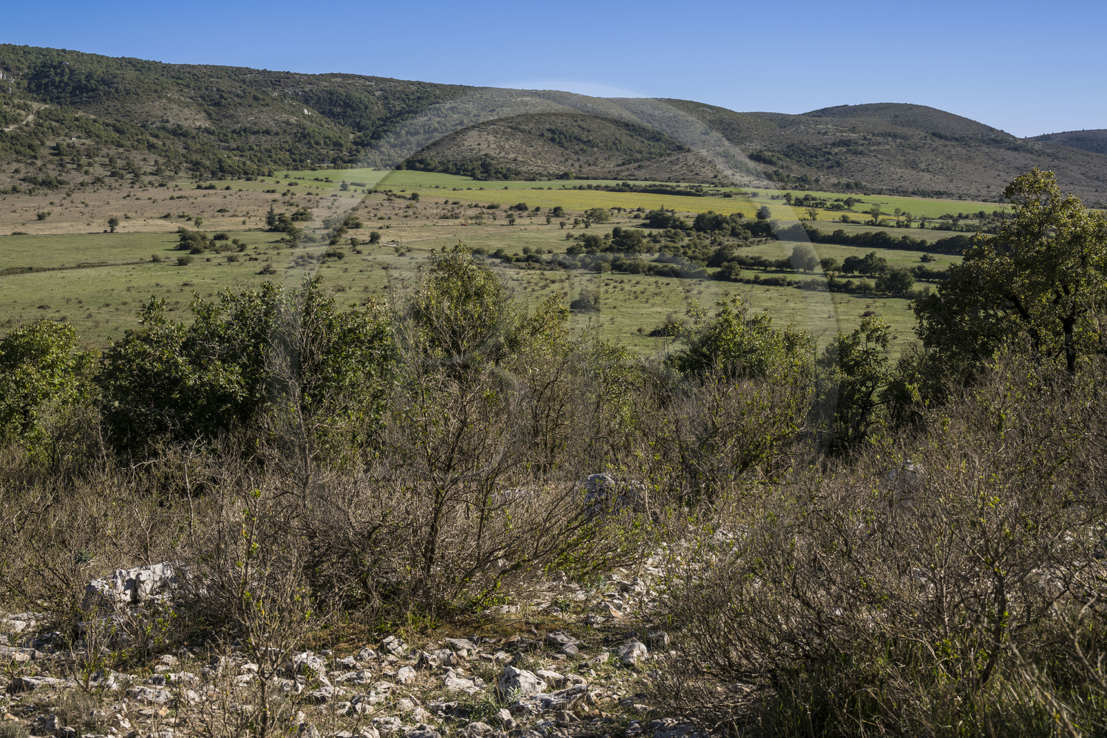 France, Hérault (34), les Causses et les Cévennes, paysage culturel de l'agro-pastoralisme méditerranéen inscrit au Patrimoine Mondial de l'UNESCO, Saint-Maurice-Navacelles, paysage typique du causse du Larzac et le massif de la Séranne qui s'est formé sur une barrière corallienne en arrière plan (vue aérienne)