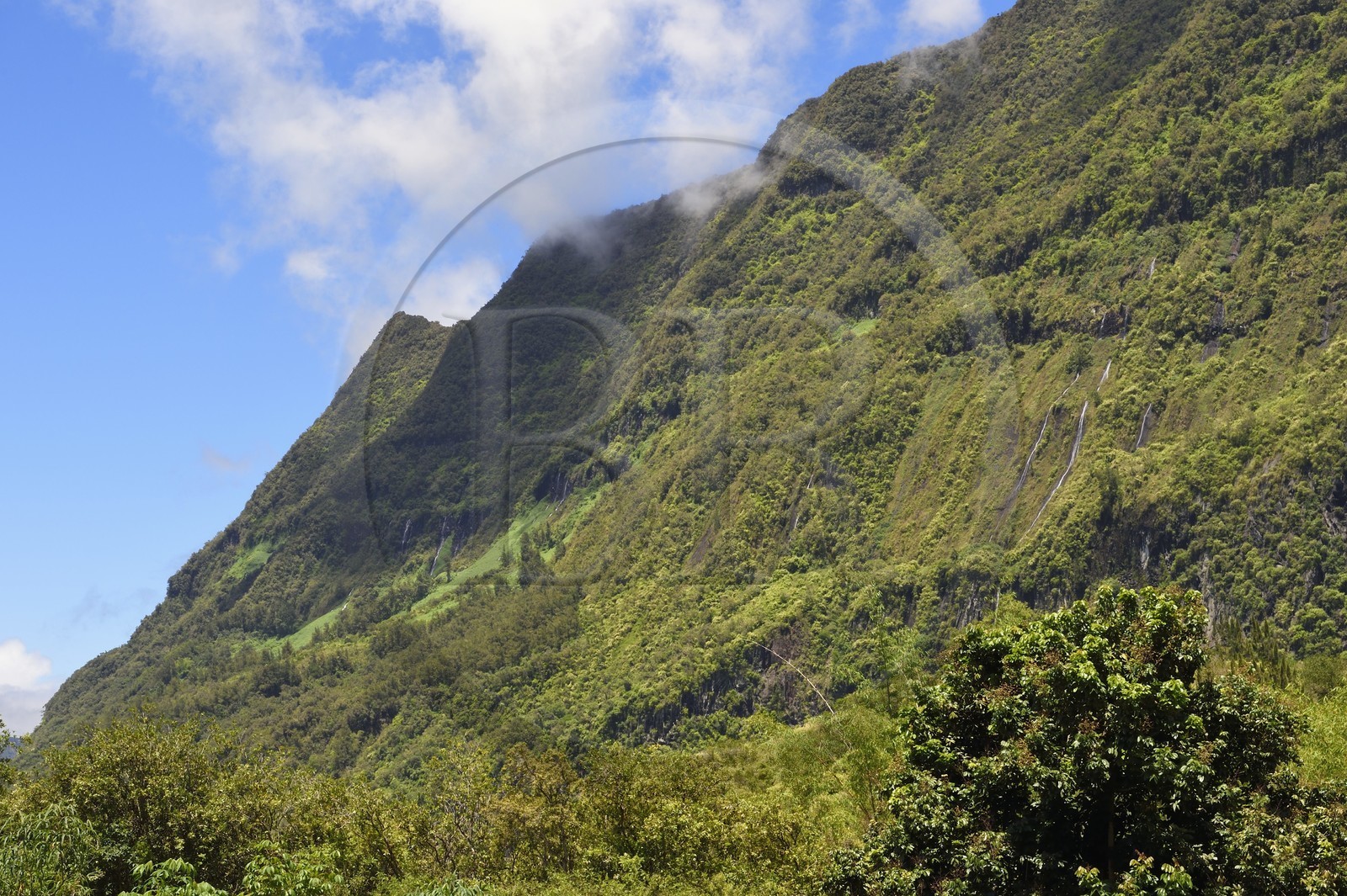 France, Ile de la Reunion, Cirque de Salazie, classé Patrimoine Mondial de l'UNESCO, de nombreuses cascades descendent du plateau de Belouve qui surplombe Hell Bourg