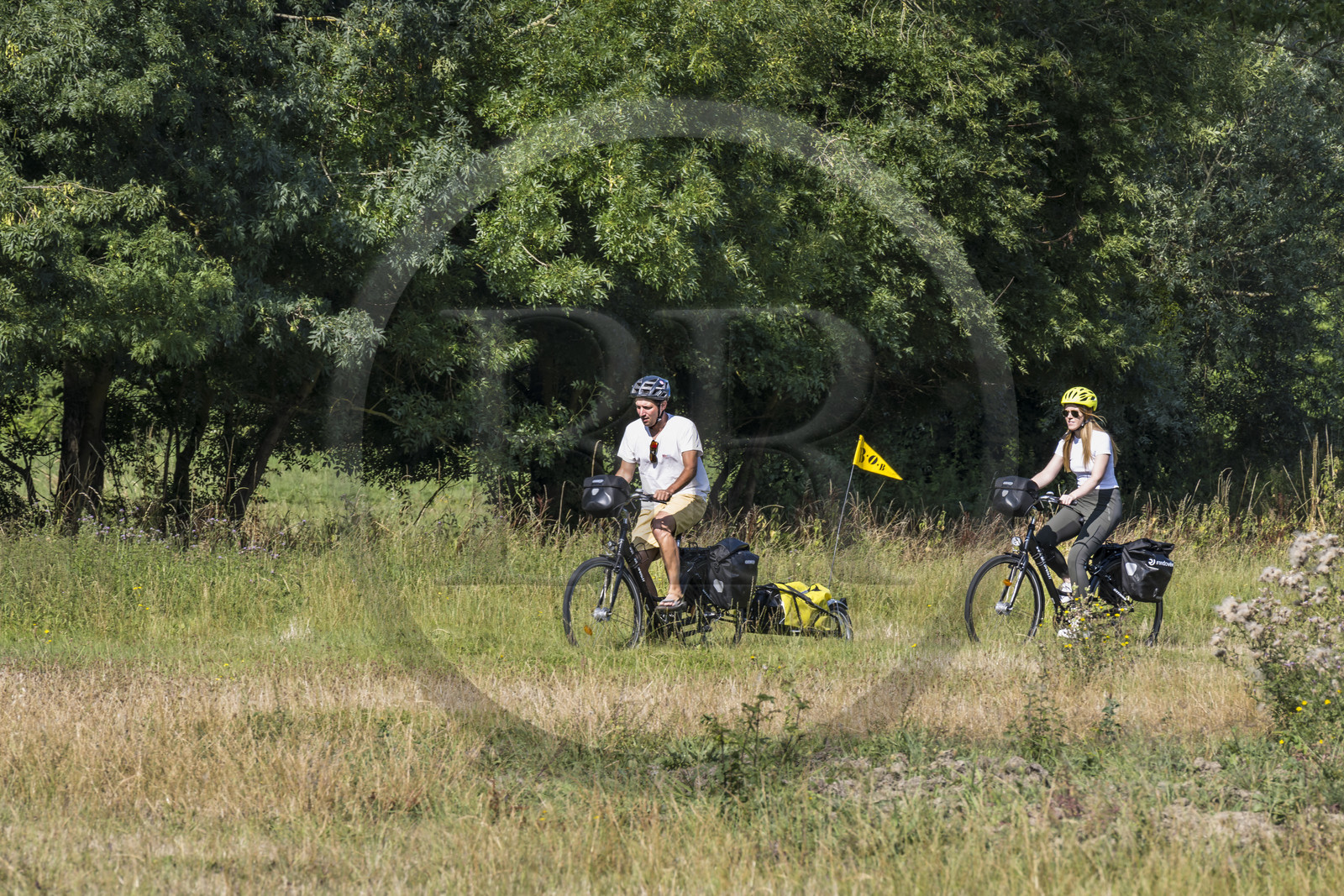 France, Maine-et-Loire, Loire valley listed as World Heritage by UNESCO, Saumur towards Saint-Hilaire, cycling on the banks of the Loire, bike with a trailer carrying camping equipment