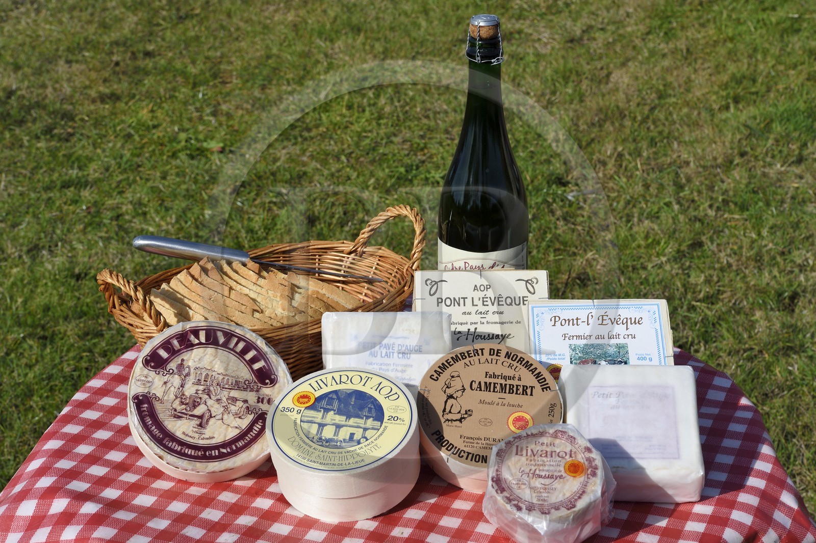 France, Orne (61), village de Camembert, fromages au lait cru du Pays d'Auge