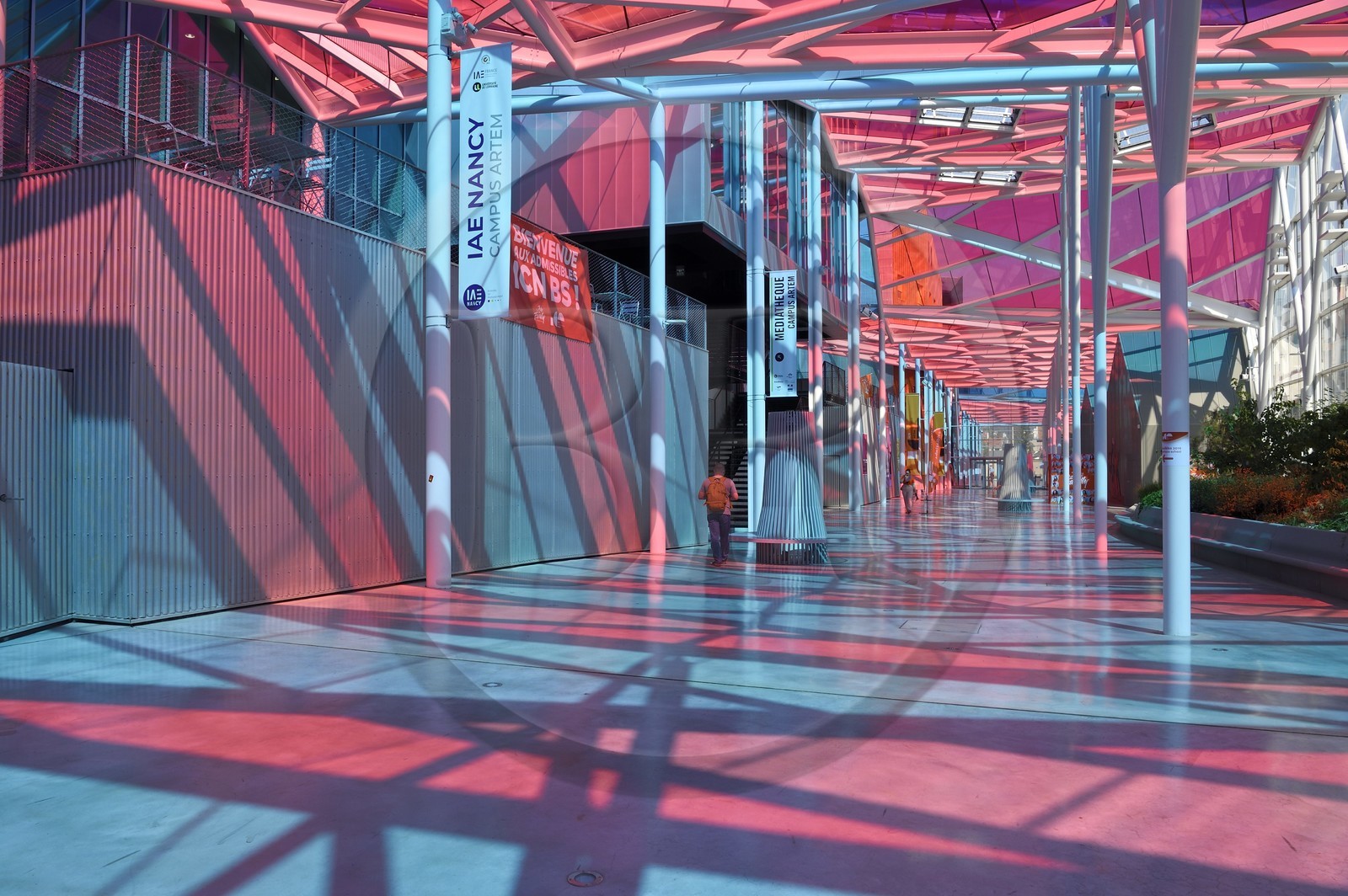 France, Meurthe et Moselle (54), Nancy, le campus ARTEM (Art, Technologie, Management)