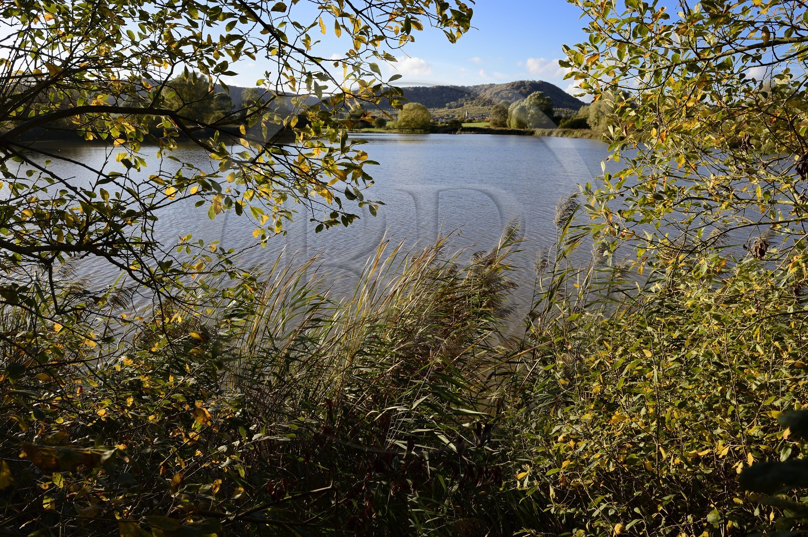 France, Meuse (55), Parc régional de Lorraine, Cotes de Meuse, Heudicourt-sous-les-Côtes, lac de la Madine
