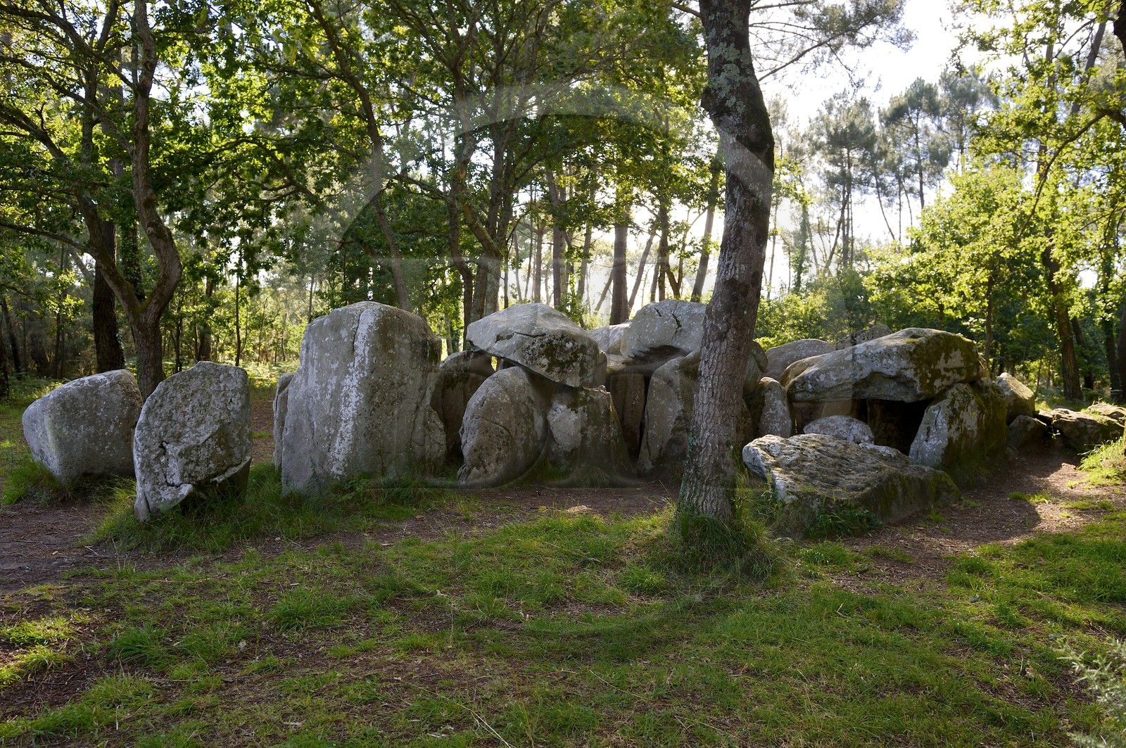 France, Morbihan (56), Erdeven, le Dolmen de Mané-Croc'h