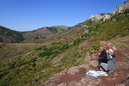 France, Alpes-Maritimes (06), Massif du Mercantour, site natura 2000, L'Ilion, sur les hauteurs des Gorges du Cians aux sols de pélite rouge