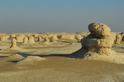 Egypte, désert libyque, le Désert Blanc au nord de Farafra
