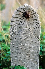 Turquie, Istanbul, pierre tombale musulmane dans un cimeti