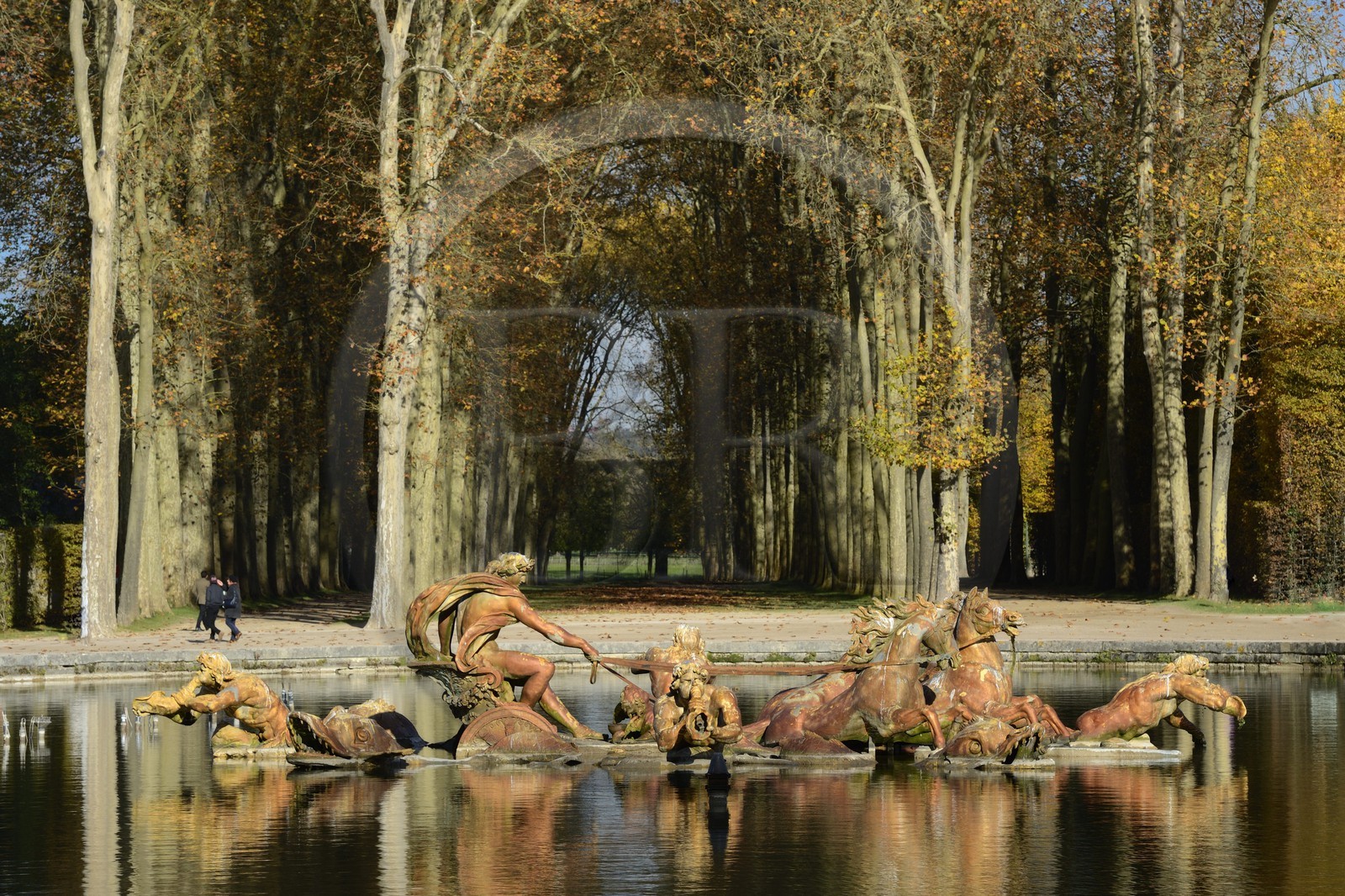France, Yvelines (78), parc du château de Versailles, classé Patrimoine Mondial de l'UNESCO, le bassin d' Apollon