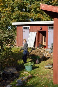 Sweden, Västra Götaland, Koster Islands, Sydkoster, the Koster Garden (Koster Tradgardar)
