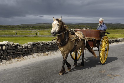 Republic of Ireland, County Galway, Aran Islands, Inishmore, Aran inhabitant on a barouche
