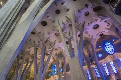 Spain, Catalonia, Barcelona, Eixample district, Sagrada Familia basilica by Catalan modernist architect Antoni Gaudi, listed as a UNESCO World Heritage Site, above the node, the columns of the central vessel (nave) are subdivided into branches like a tree, the cold colours of the stained glass windows of the Nativity facade side by the Catalan painter and glassmaker Joan Vila-Grau in the background